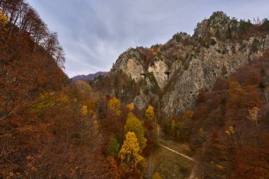 Dağlar renkli ormanlarla kaplı, vadide akan nehirler, canlı manzaralar. 