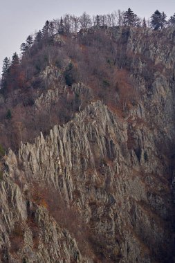 Sonbahar rengarenk tonlarında ağaçlarla dolu bir dağ uçurumu.