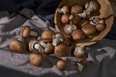 Taze kahverengi şampiyon mantarları yakın plan çekimde kumaşta.