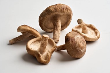 Shiitake mushrooms focus stacked with clipping path included, studio shot isolated on white background clipart