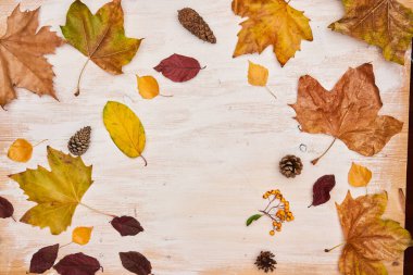 Metin veya resim için ortasındaki kopyalanmış boşluklu sonbahar yapraklarının dekoru