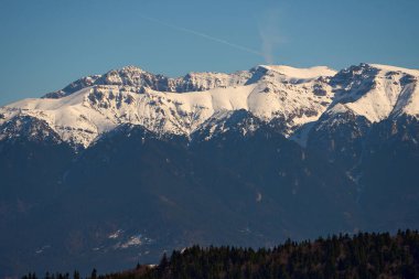 Karla kaplı dağ zirveleri, açık mavi gökyüzünün altında, sık ve yeşil ormanların üzerinde yükseliyor.