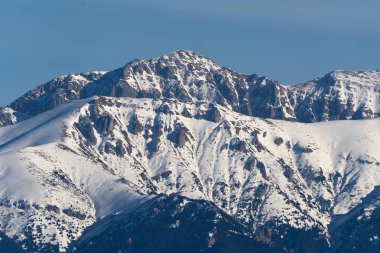 Karla kaplı dağ zirveleri, açık mavi gökyüzünün altında, sık ve yeşil ormanların üzerinde yükseliyor.