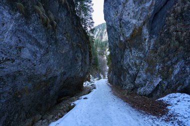 Karla kaplı patika, sarp kayalıklar ve daima yeşil ağaçlarla çevrili dar bir geçitten geçiyor.