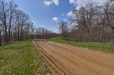 Yapraksız bir bahar ormanında, parçalı bulutlu bir gökyüzünün altında dolambaçlı toprak yol.