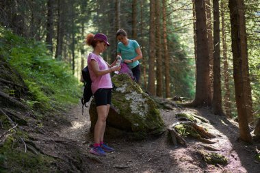 Orman yürüyüşü sırasında mola veren iki kadın, yosunlu kayanın yanında içme suyu.