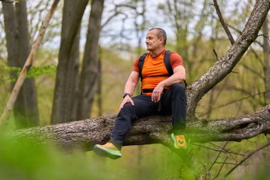 Turuncu gömlekli erkek yürüyüşçü bahar ormanı ve vahşi bitki örtüsüyle çevrili devrilmiş bir ağaçta dinleniyor.