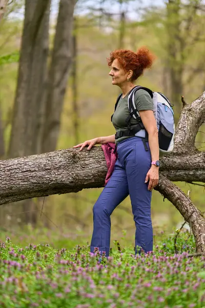 Sırt çantalı bir yürüyüşçü, dinleniyor ve gülümsüyor. Ormandaki devrilmiş bir ağaca yaslanmış mor bir şekilde.