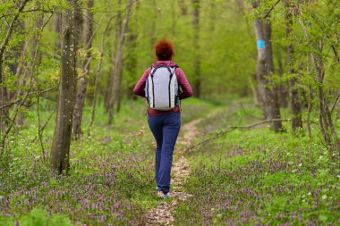 Sırt çantalı orta yaşlı bir kadın, kır çiçekleriyle çevrili dar bir orman yolunda tek başına yürüyor.