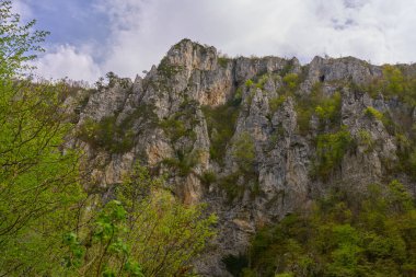 Kayalık kayalıklar bahar ormanlarıyla kaplı bulutlu bir dağın altında yükseliyor.