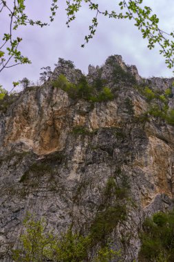Kayalık kayalıklar bahar ormanlarıyla kaplı bulutlu bir dağın altında yükseliyor.