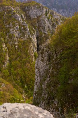 Dağların altında yükselen bahar ormanlarıyla kaplı kayalıklar.