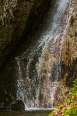 Uzun, dar bir şelale yosun kaplı bir uçurumdan, bahar ormanındaki kayalık bir havuza dökülüyor.