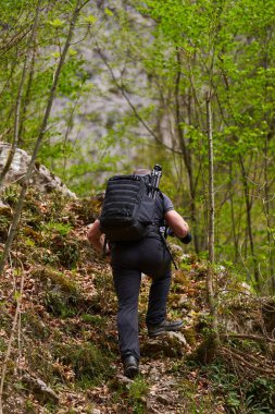 Sırt çantası ve tripod taşıyan bir adam baharda ormandaki kayalık yamaca tırmanıyor.