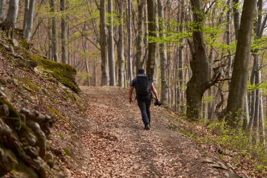 Bahar boyunca orman yolunda tek başına yürüyüş yapan bir adam.