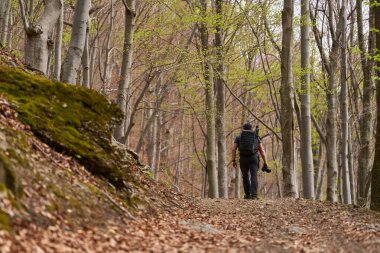Bahar boyunca orman yolunda tek başına yürüyüş yapan bir adam.
