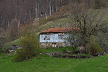 Taştan tabanı ve kırmızı kiremitli, bahar yeşilliklerinde yuvalanmış, orman yamacının altında eski bir kır evi.