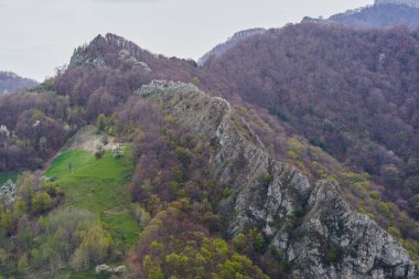 Tırtıklı kayalık tepe, yemyeşil bitki örtüsüyle kaplı bir yamacı kesiyor.