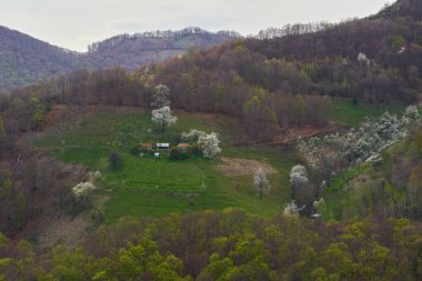 Ormanlık yamaçların altındaki çimli bir yamaçta çiçek açan ağaçlarla çevrili uzak bir çiftlik evi.