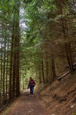 Uzun çam ağaçları ve doğal çalılıklarla çevrili bir ormanda tek başına yürüyen bir kadın.