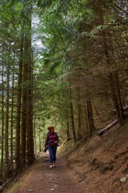 Uzun çam ağaçları ve doğal çalılıklarla çevrili bir ormanda tek başına yürüyen bir kadın.