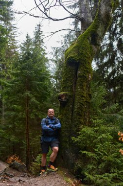 Erkek yürüyüşçü, ormanda yosun kaplı büyük bir ağacın yanında güvenle duruyor.