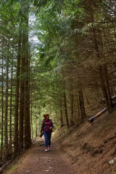 Uzun çam ağaçları ve doğal çalılıklarla çevrili bir ormanda tek başına yürüyen bir kadın.