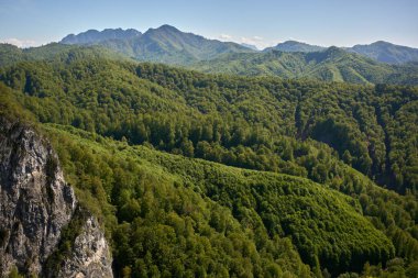 Yoğun ormanlık dağların geniş manzarası kayalık çıkıntılar ve dalgalı tepeler parlak mavi bir gökyüzü altında