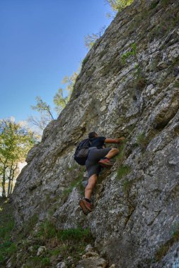 Sırt çantalı bir erkek dağcı, ormanlık bir bölgede güneşli bir günde, dik bir kayalık yamaçta doğal tutarak yükseliyor.