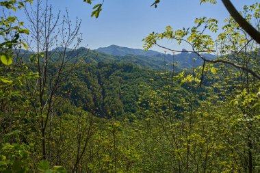 Yoğun ormanlık dağların geniş manzarası kayalık çıkıntılar ve dalgalı tepeler parlak mavi bir gökyüzü altında