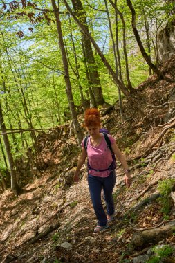 Sırt çantalı bir kadın, yeşil ağaçlarla çevrili bahar güneşinde, kökleriyle kaplı bir orman patikasında yokuş yukarı yürüyor.