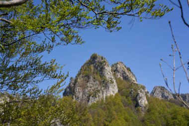 Açık mavi bir yaz gökyüzünün altındaki kayalık kayalıklarda yeşil bitkiler