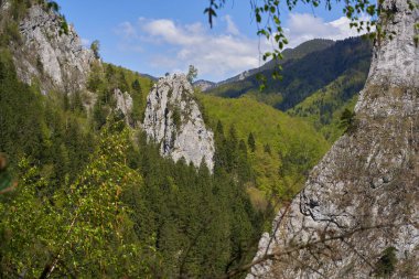 Dik kayalıkların gündüz manzarası yoğun bir şekilde yeşil ağaçlar ve açık mavi yaz gökyüzü altında yapraklarla kaplı.