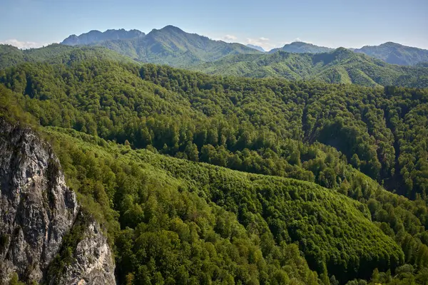 Yoğun ormanlık dağların geniş manzarası kayalık çıkıntılar ve dalgalı tepeler parlak mavi bir gökyüzü altında
