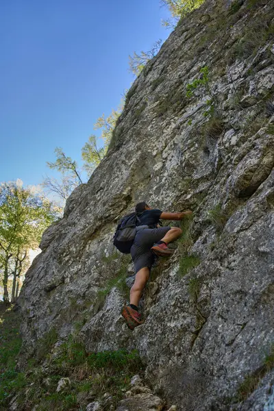 Sırt çantalı bir erkek dağcı, ormanlık bir bölgede güneşli bir günde, dik bir kayalık yamaçta doğal tutarak yükseliyor.