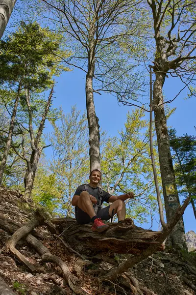 Sırt çantalı gülümseyen bir adam güneşli bir bahar yürüyüşü sırasında geniş bir ağaç gövdesinin üzerinde, bir orman yamacında korunmasız kökler arasında oturuyor.