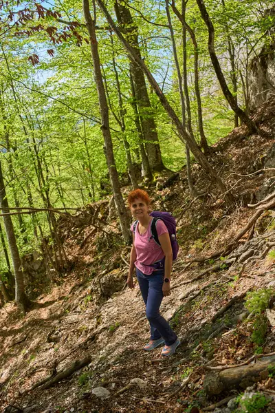 Sırt çantalı bir kadın, yeşil ağaçlarla çevrili bahar güneşinde, kökleriyle kaplı bir orman patikasında yokuş yukarı yürüyor.