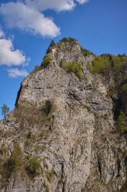 Dik kireçtaşı kayalıkları. Dağılmış ağaçlar, mavi bir gökyüzünün altında, ormanlık bir vadide yükseliyor.