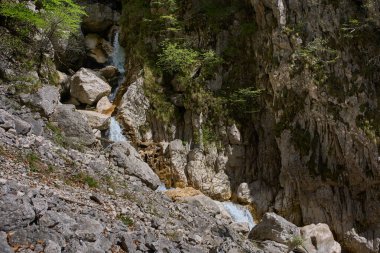 Küçük çağlayan şelale kayalık kireçtaşı vadisinden taşlarla ve orman bitkileriyle akıyor.