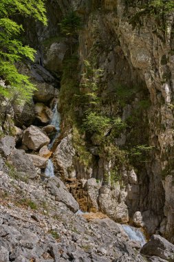 Küçük çağlayan şelale kayalık kireçtaşı vadisinden taşlarla ve orman bitkileriyle akıyor.