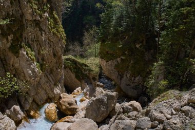 Dağ deresi sarp kayalıkları ve büyük kayaları olan dar bir orman kanyonundan geçiyor.