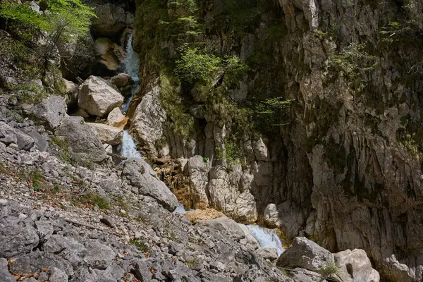 Küçük çağlayan şelale kayalık kireçtaşı vadisinden taşlarla ve orman bitkileriyle akıyor.