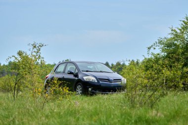 Açık bir gökyüzünün altında çalılarla çevrili çimenli bir alana park edilmiş koyu renkli küçük bir araba.