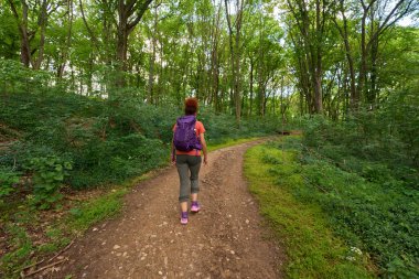 Sırt çantalı bir kadın bir bahar günü orman yolunda tek başına yürüyüş yapıyor.