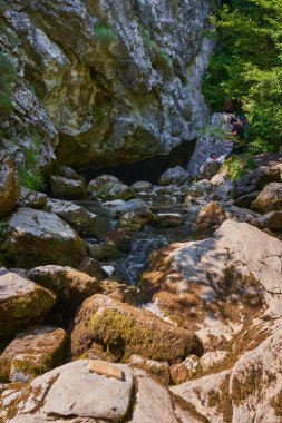 Karst baharı, yosun kaplı kaya ve orman bitkileriyle çevrili kayalık mağaradan yükseliyor.