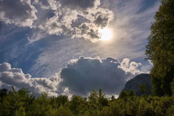 Güneş ışığı, orman ve uzak dağ sırtı üzerindeki dramatik bulutları delip geçiyor.