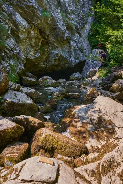 Karst baharı, yosun kaplı kaya ve orman bitkileriyle çevrili kayalık mağaradan yükseliyor.