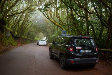 İspanya, Tenerife, Anaga bölgesi - 07 Haziran 2025: Piko del Ingles tüneli yakınlarında Tenerife 'nin Anaga kentindeki sisli Laurisilva ormanında birden fazla araba park etti
