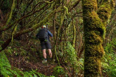 Seyahat fotoğrafçısı, Anaga 'da vahşi doğada çekim yaparken yoğun yosunlu Laurisilva ormanında tırmanıyor.