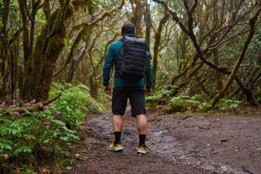 Anaga 'nın yoğun laurisilva' sında yemyeşil bitki örtüsüyle çamurlu orman yolunda yürüyen bir adam.